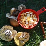 IMG_4372 IMG_4372