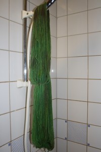 pestolina